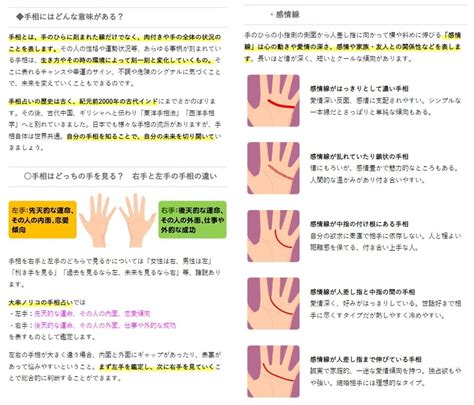 生命輔助線|大串ノリコの手相占い｜手相の見方・基本線や補助線 